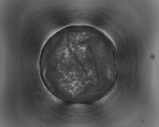 X0000099990943200806201446