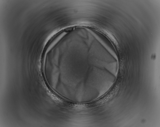 X0000099990944200806201446