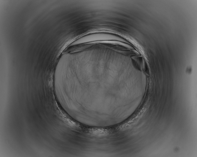 X0000099990945200806201446