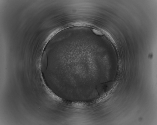 X0000099990946200806201446