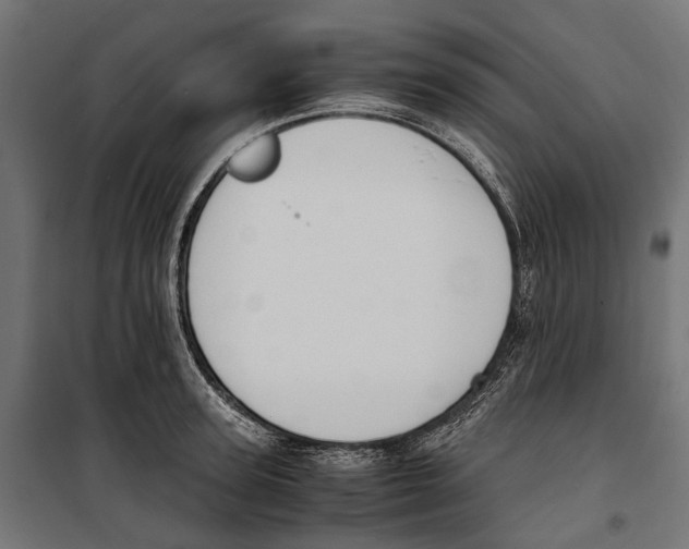 X0000099990947200806201446