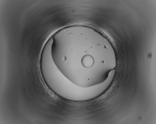 X0000099990948200806201446