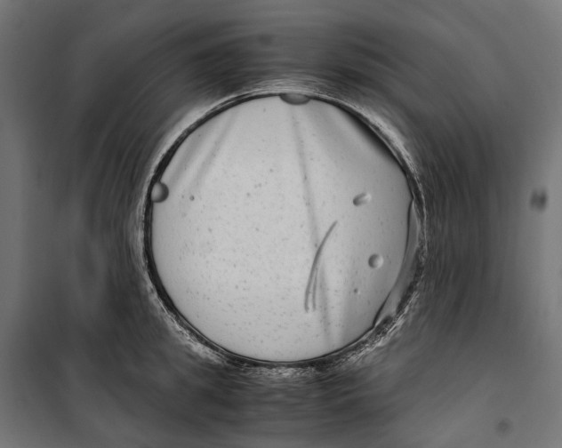 X0000099990949200806201446