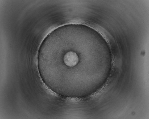 X0000099990950200806201446