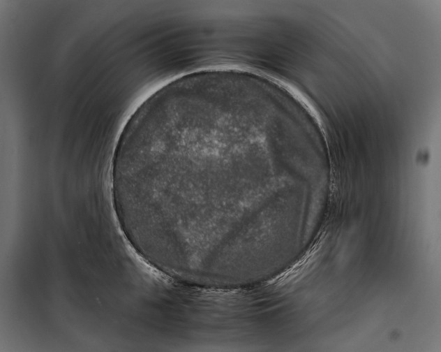 X0000099990951200806201446