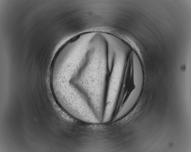 X0000099990952200806201446