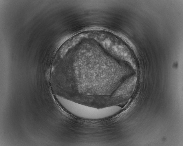 X0000099990953200806201446