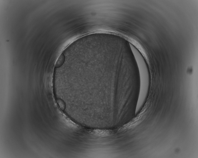 X0000099990954200806201446