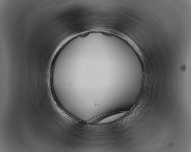 X0000099990955200806201446