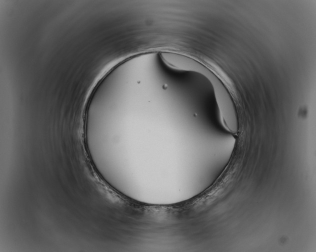 X0000099990956200806201446