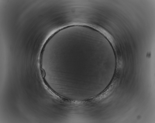 X0000099990958200806201446