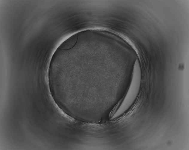 X0000099990959200806201446