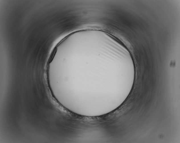 X0000099990960200806201446