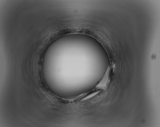 X0000099990961200806201445