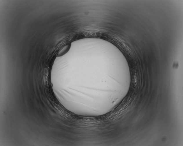 X0000099990964200806201445