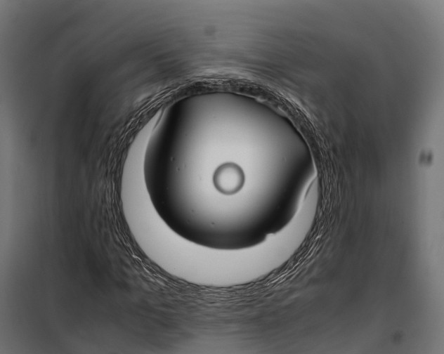 X0000099990965200806201445