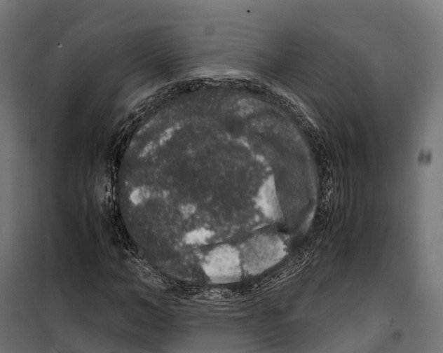 X0000099990966200806201445