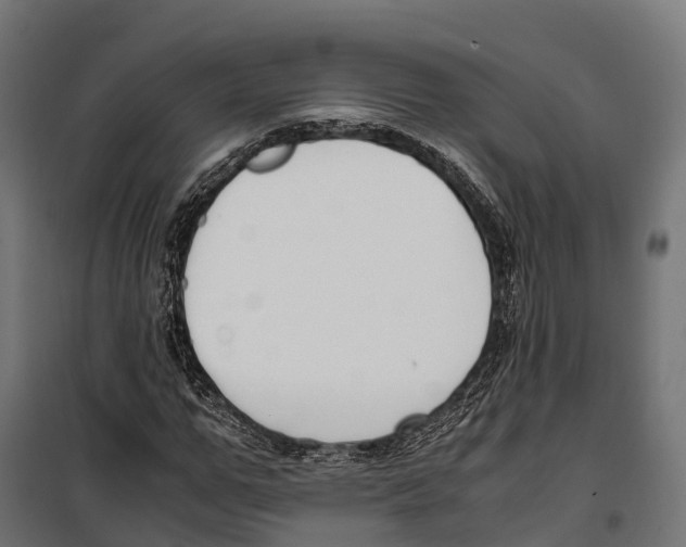 X0000099990967200806201445