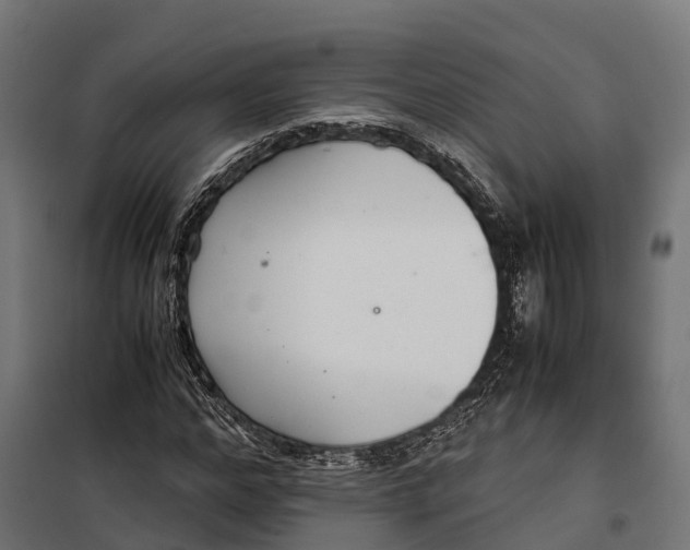 X0000099990968200806201445