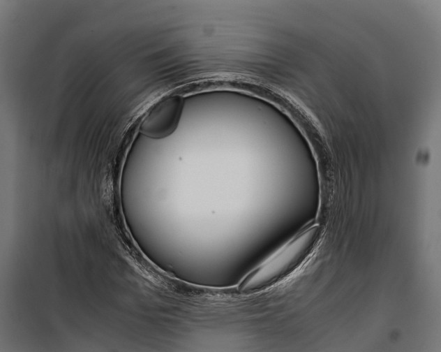 X0000099990969200806201445