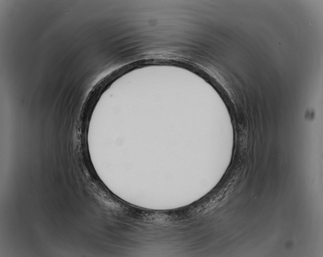 X0000099990971200806201445