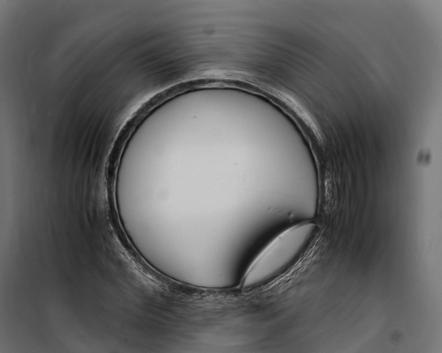 X0000099990972200806201445