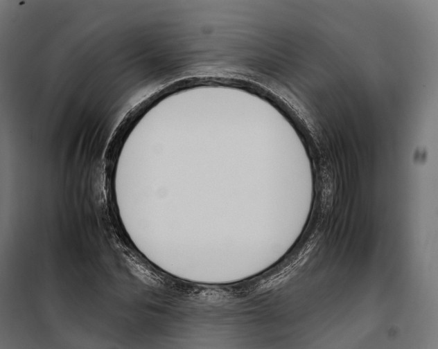 X0000099990974200806201445