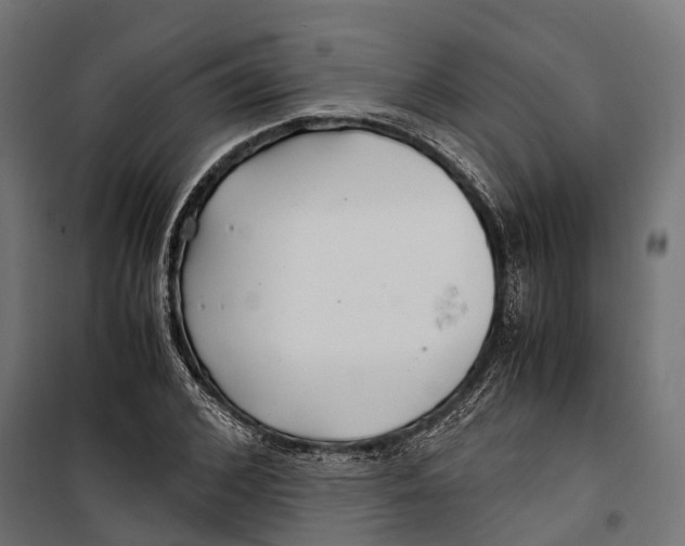 X0000099990976200806201445