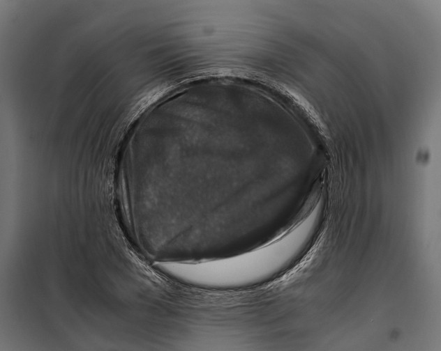 X0000099990977200806201445