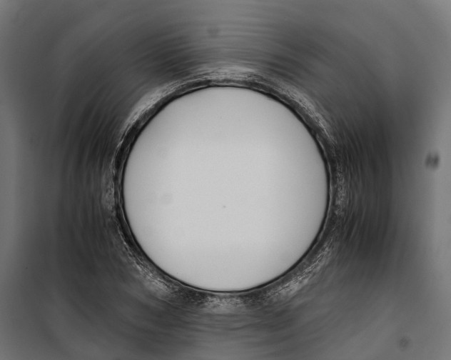 X0000099990978200806201445