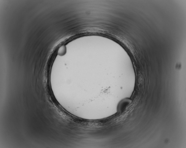 X0000099990979200806201445