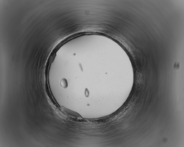 X0000099990980200806201445