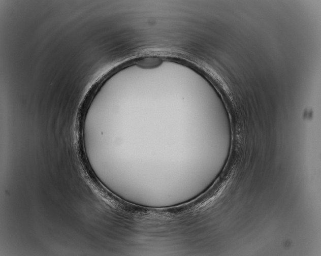 X0000099990981200806201445