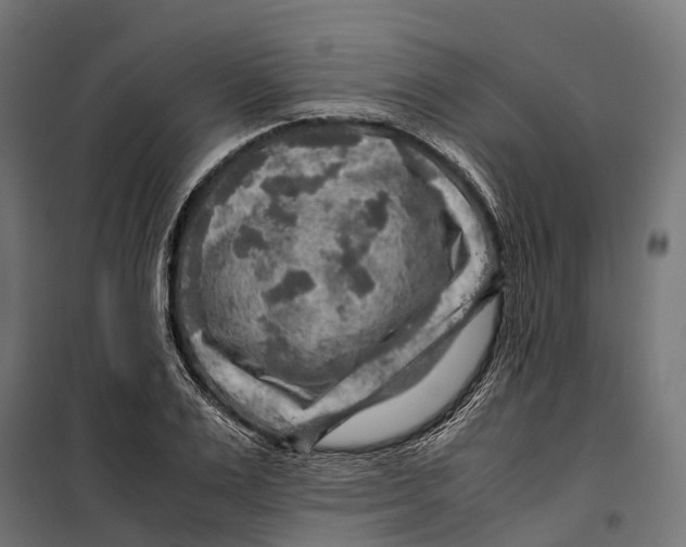 X0000099990983200806201445