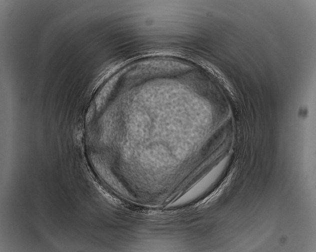 X0000099990985200806201445