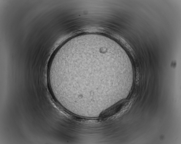 X0000099990986200806201445