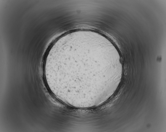 X0000099990987200806201445