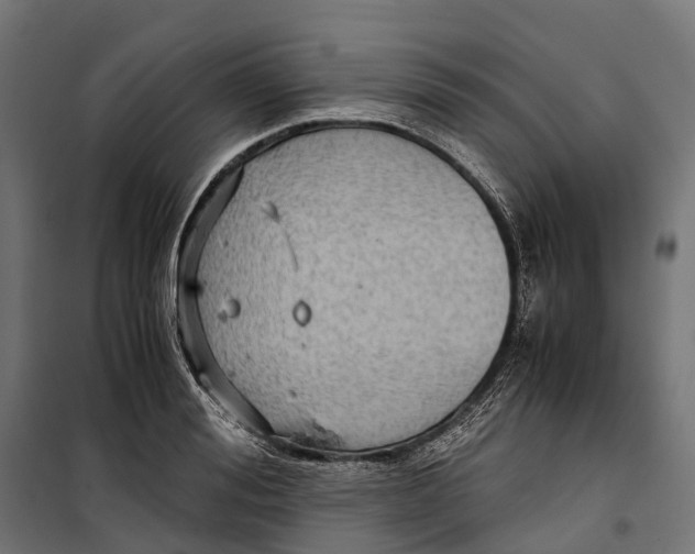 X0000099990988200806201445