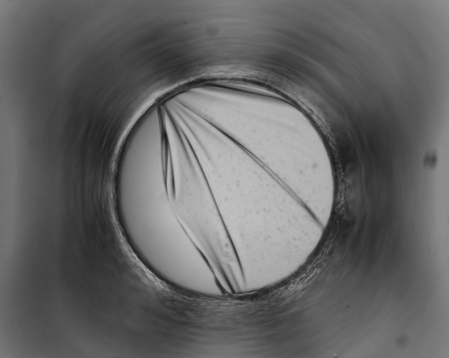 X0000099990992200806201445