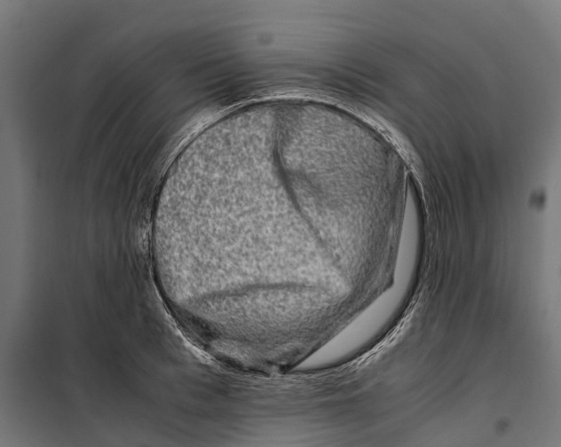 X0000099990993200806201445