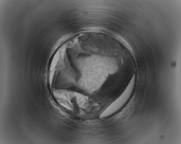 X0000099990994200806201445