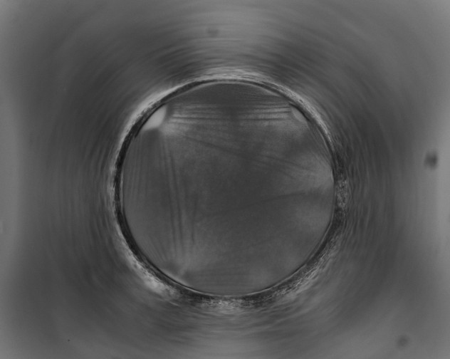 X0000099990995200806201445