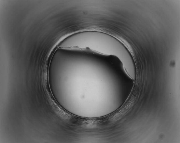 X0000099991000200806201445