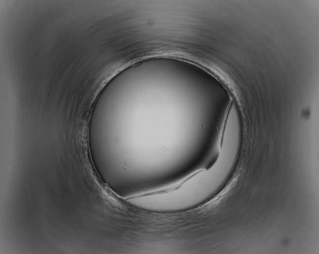 X0000099991001200806201445