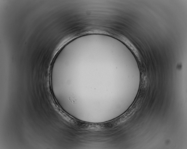 X0000099991002200806201445