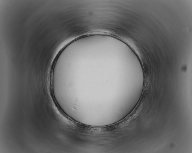 X0000099991003200806201444