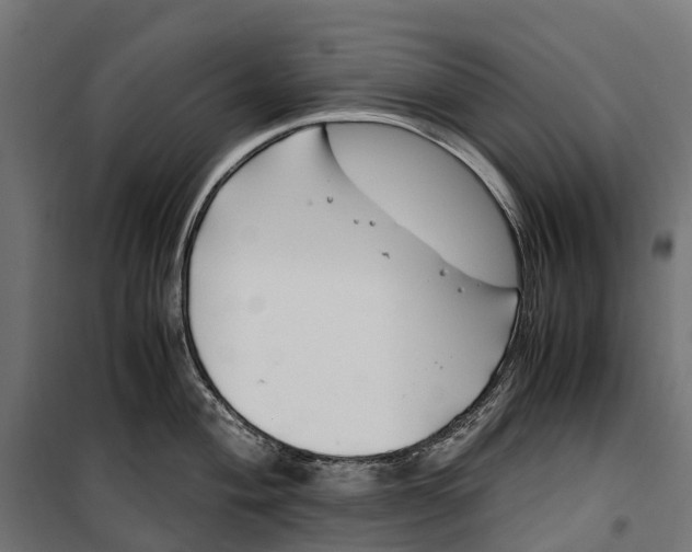 X0000099991004200806201444