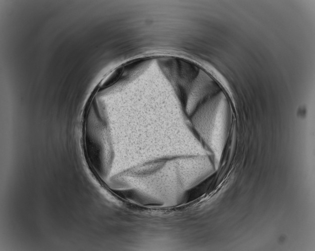 X0000099991005200806201444