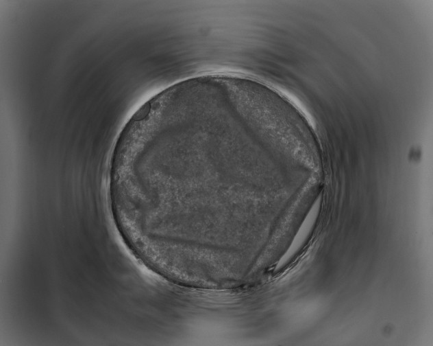 X0000099991007200806201444