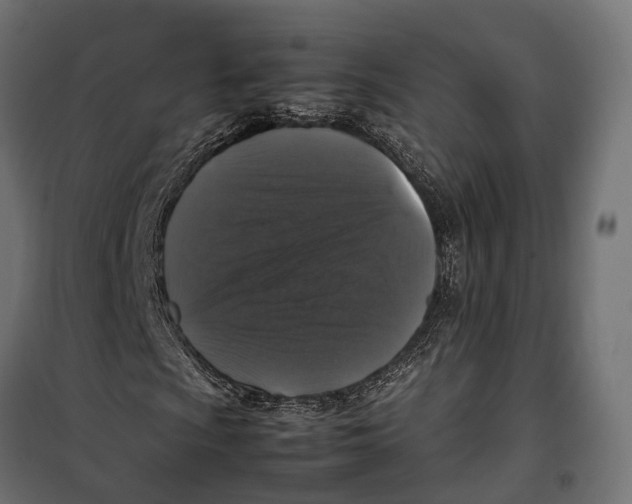 X0000099991009200806201444